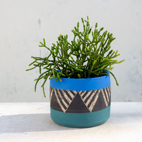 lg plant pots Aquatic - Lg Planter