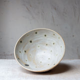Spotted Limpet - Bowl