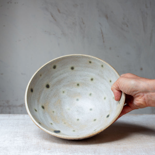 Spotted Limpet - Bowl