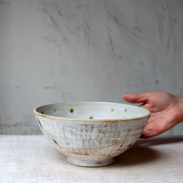 Spotted Limpet - Bowl