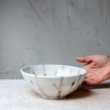 Limpet - Medium Bowl