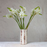 Solar  - Cylindrical Vase #1