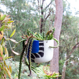 Electric Pathways - Large Hanging Planter