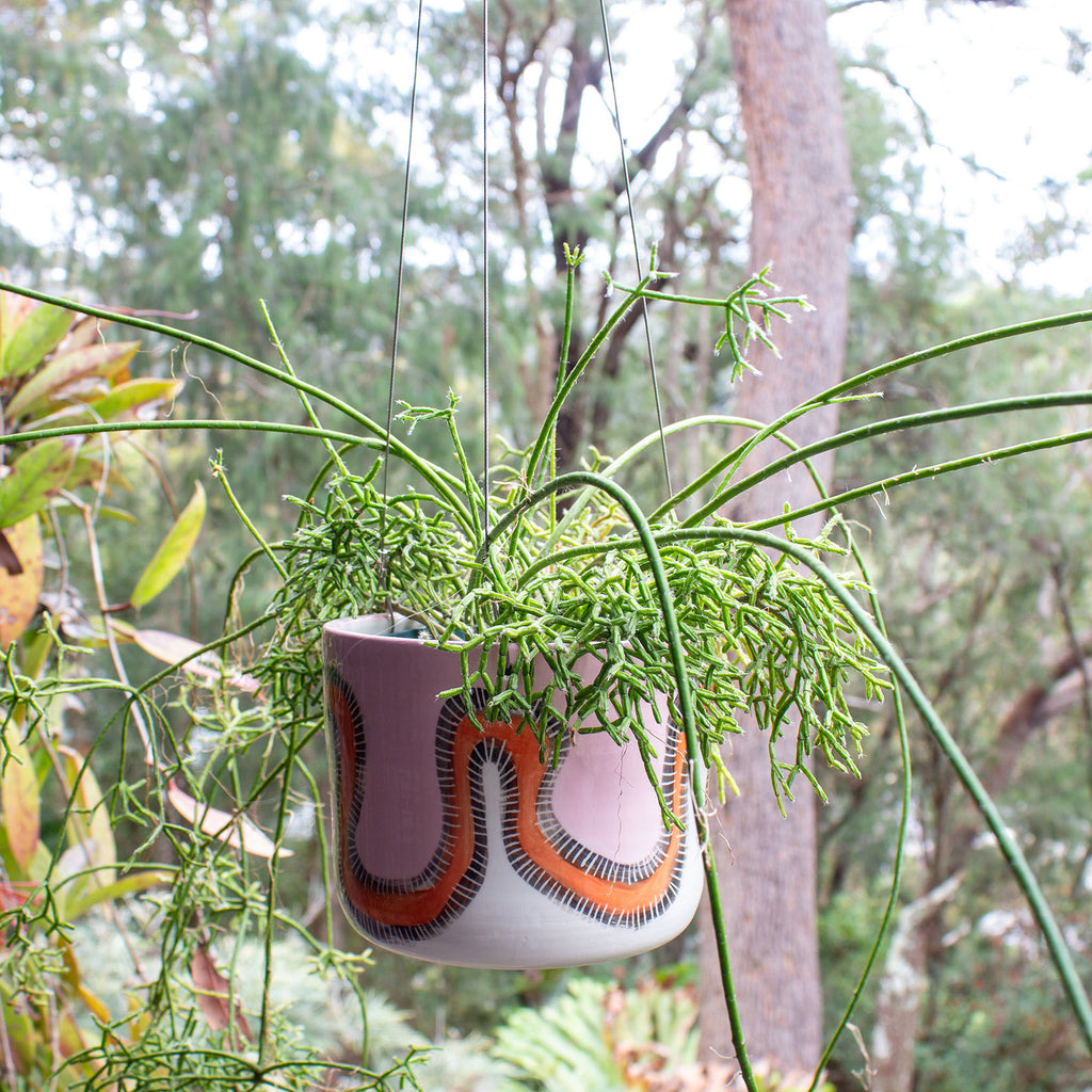 large ceramic hanging planter Landscape - Large Hanging Planter