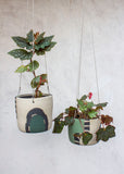 Moss Pathways - Lg Hanging Planter