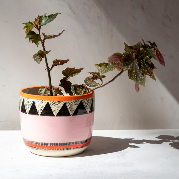 Tri-Burst - Lg Planter