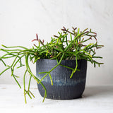 Painterly Blue Steel  - Lg Planter *Made to order*