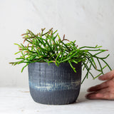 Painterly Blue Steel  - Lg Planter