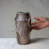 Seeker - Manipulated Vase