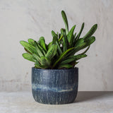 Painterly Blue Steel  - Planter