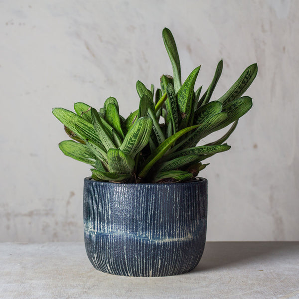 Painterly Blue Steel  - Planter