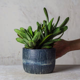 Painterly Blue Steel  - Planter
