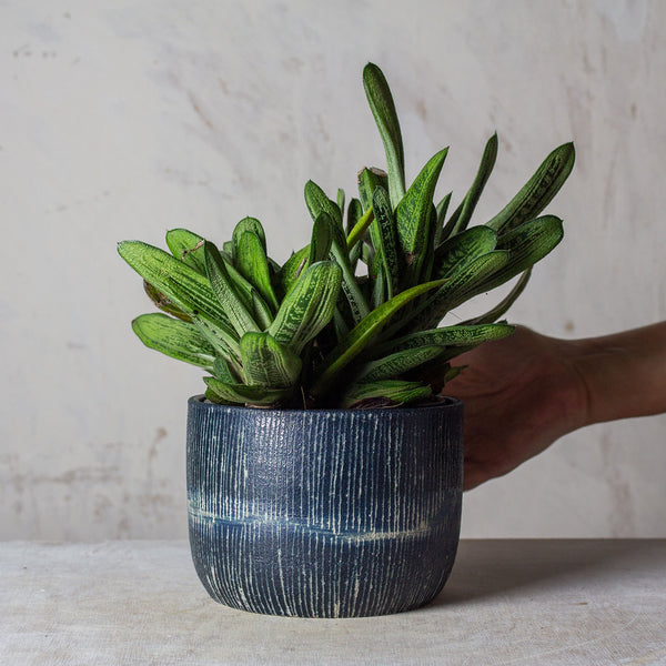 Painterly Blue Steel  - Planter