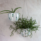 Lichen - Med Rounded Hanging Planter