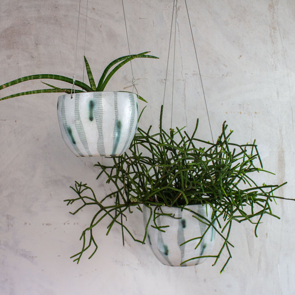 Lichen - Med Rounded Hanging Planter