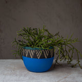 Tri-Burst - Electric Blue Rounded Planter