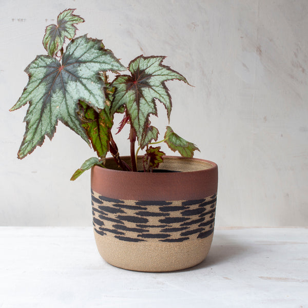 Ikat Stripe - Lg Planter