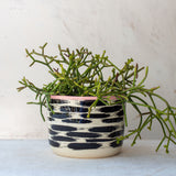 Ikat Tracks - Lg Planter