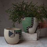 Moss Pathways - Lg Rounded Hanging Planter
