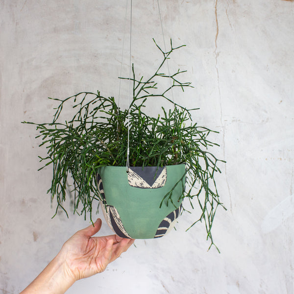 Moss Pathways - Lg Rounded Hanging Planter