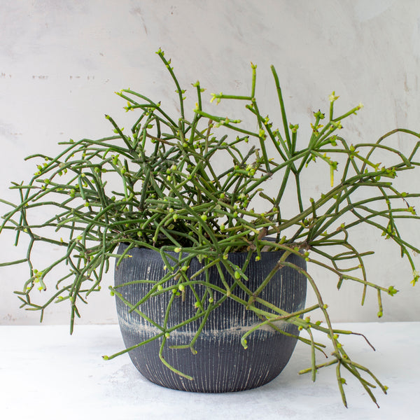Painterly Blue Steel  - Rounded XL Planter