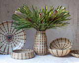 Solar  - Contoured Vase