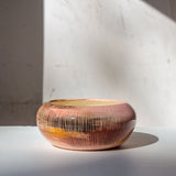 Angophora  - Anenome Vessel