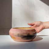 Angophora  - Anenome Vessel