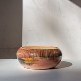 Angophora  - Anenome Vessel