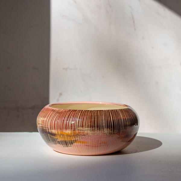 Angophora  - Anenome Vessel