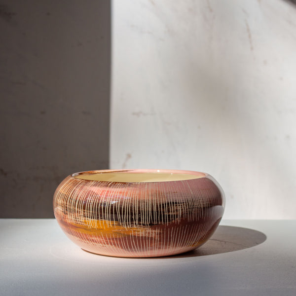 Angophora  - Anenome Vessel