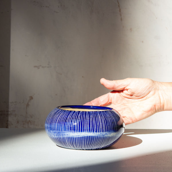 Indigo  - Anenome Vessel