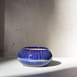 Indigo  - Anenome Vessel
