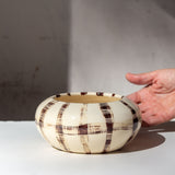 Solar - Anenome Vessel