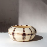 Solar - Anenome Vessel