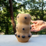 SAMPLE - BANKSIA POD
