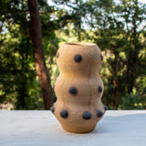 SAMPLE - BANKSIA POD