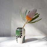 Moss Pathways - Enclosed Vase