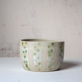 SAMPLE - SPOTTED MOSS PLANTER