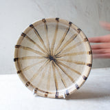 Solar - Plate