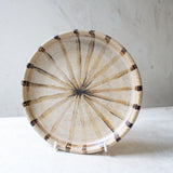 Solar - Plate