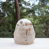 SAMPLE - SENTINEL POD #1