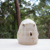 SAMPLE - SENTINEL POD #1