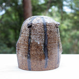 SAMPLE - SENTINEL POD #2
