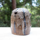 SAMPLE - SENTINEL POD #2