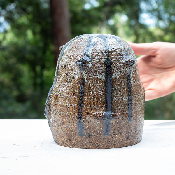 SAMPLE - SENTINEL POD #2