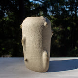 SAMPLE - SENTINEL POD #7