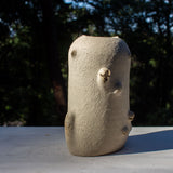SAMPLE - SENTINEL POD #7