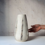 SAMPLE - STRIATED POD