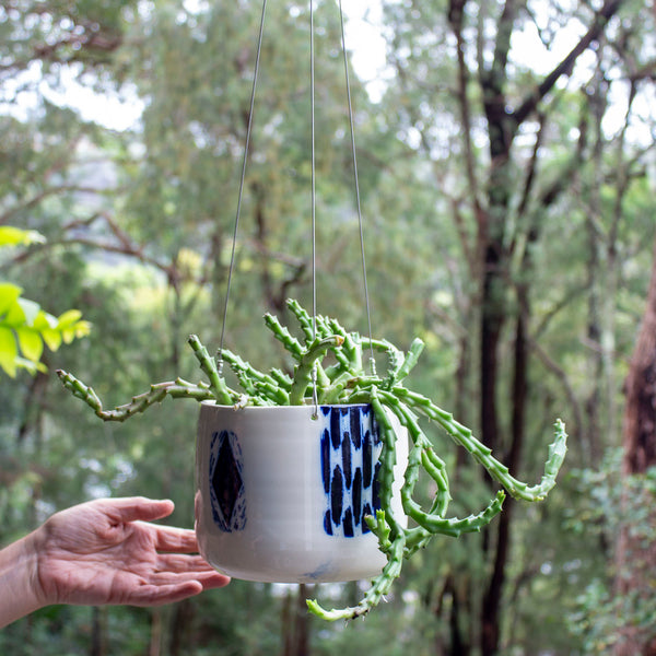 Kink in the Road - XL Hanging Planter